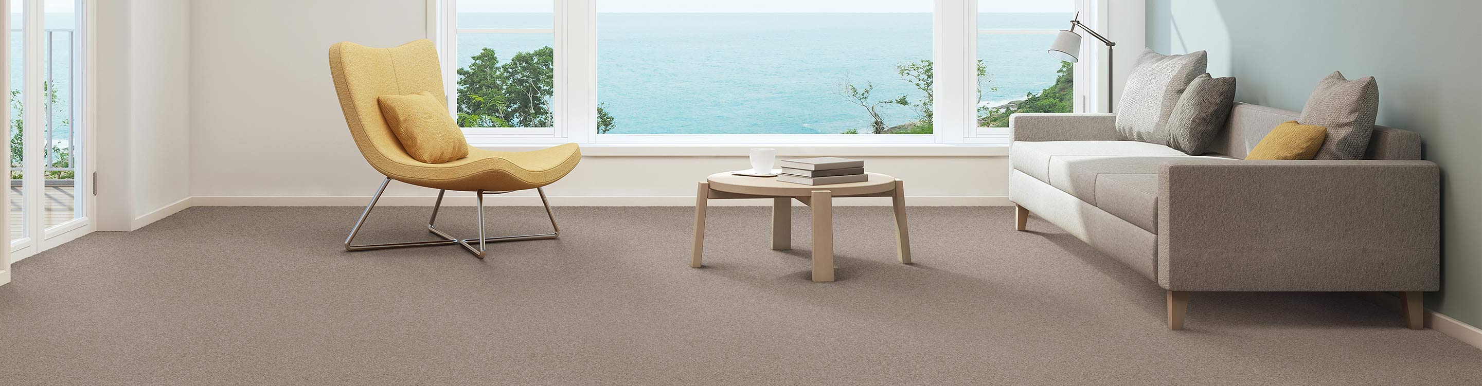 light colored carpet in dark living area