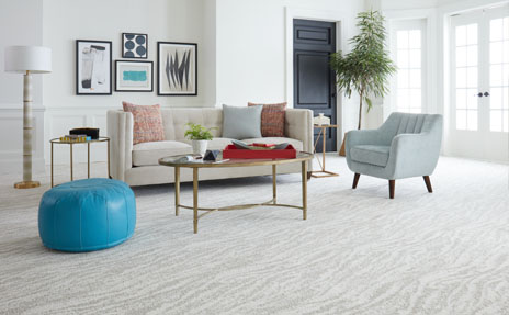Caring for Your Carpet
